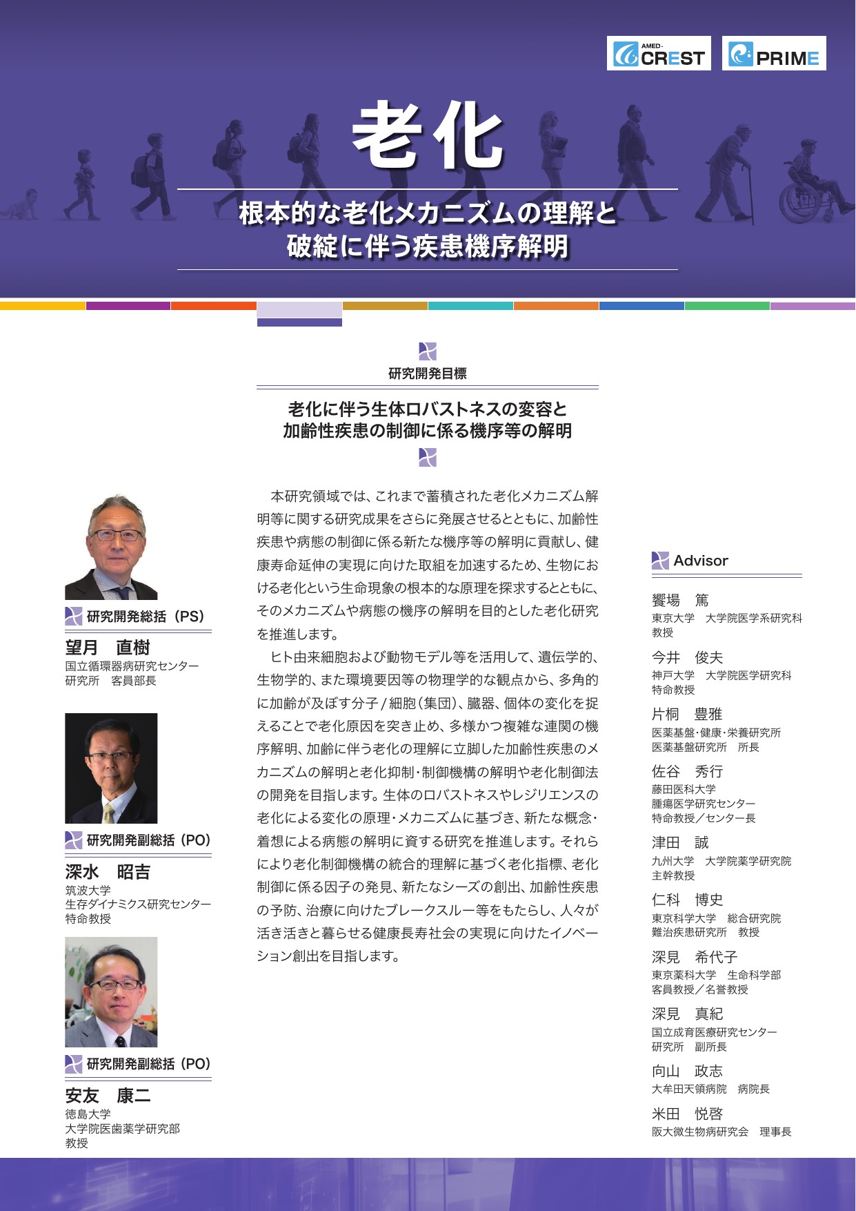 老化メカニズム研究領域 概要資料 1ページ目：研究開発目標と領域の概要、研究開発総括・副総括・アドバイザー