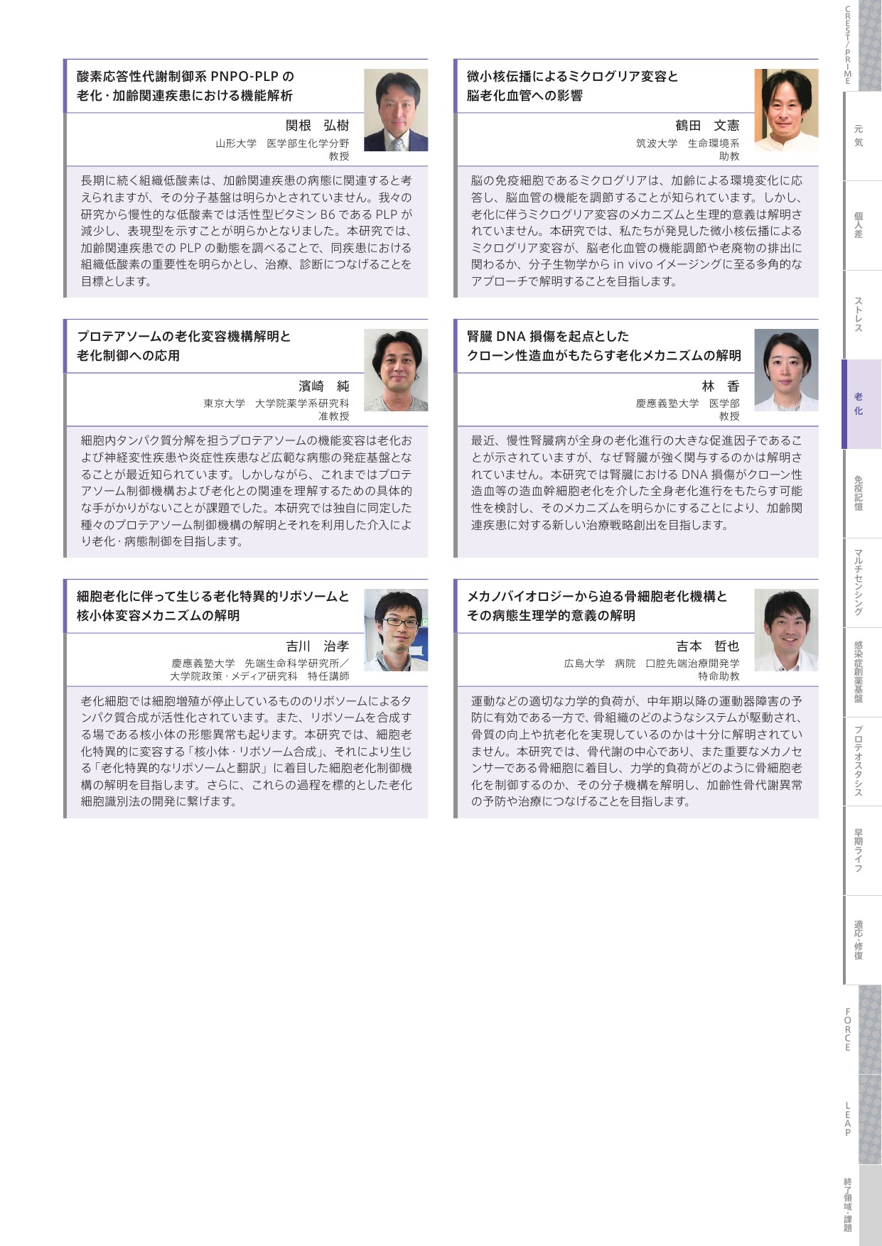 老化メカニズム研究領域 概要資料 7ページ目